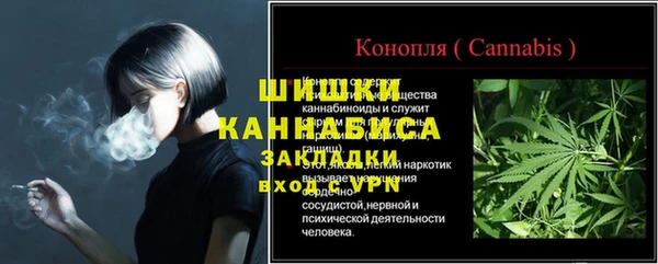 ГАЛЛЮЦИНОГЕННЫЕ ГРИБЫ Няндома