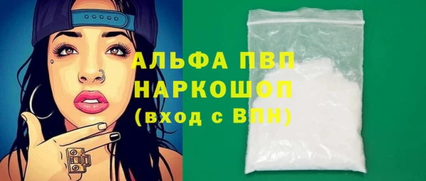 стаф Кирсанов