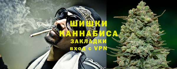 ГАЛЛЮЦИНОГЕННЫЕ ГРИБЫ Няндома