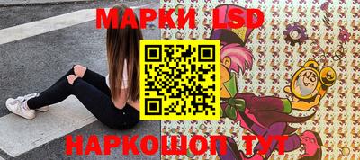 индика Лесосибирск