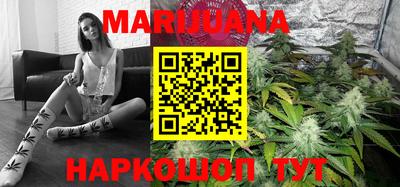 индика Лесосибирск