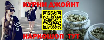 индика Лесосибирск