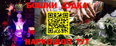 индика Лесосибирск