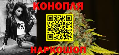 индика Лесосибирск