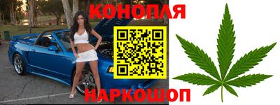 индика Лесосибирск