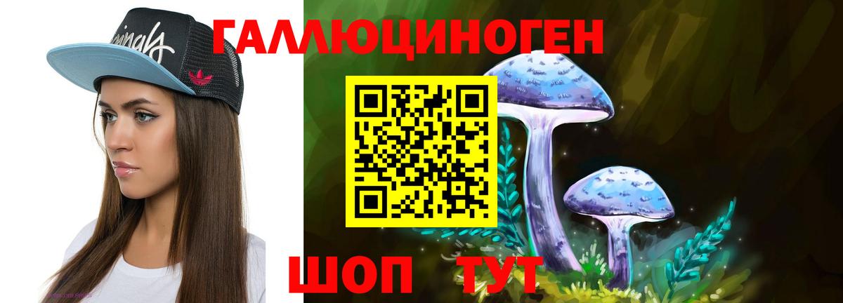 Галлюциногенные грибы Psilocybe Петровск