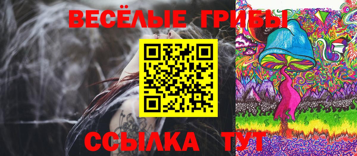 Петровск  Псилоцибиновые грибы GOLDEN TEACHER  Вход с VPN  Галлюциногенные грибы Magic Shrooms 