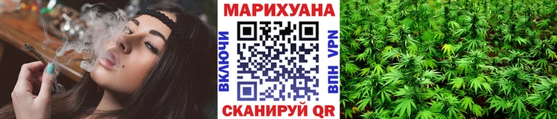 где найти   Петровск  Конопля White Widow 