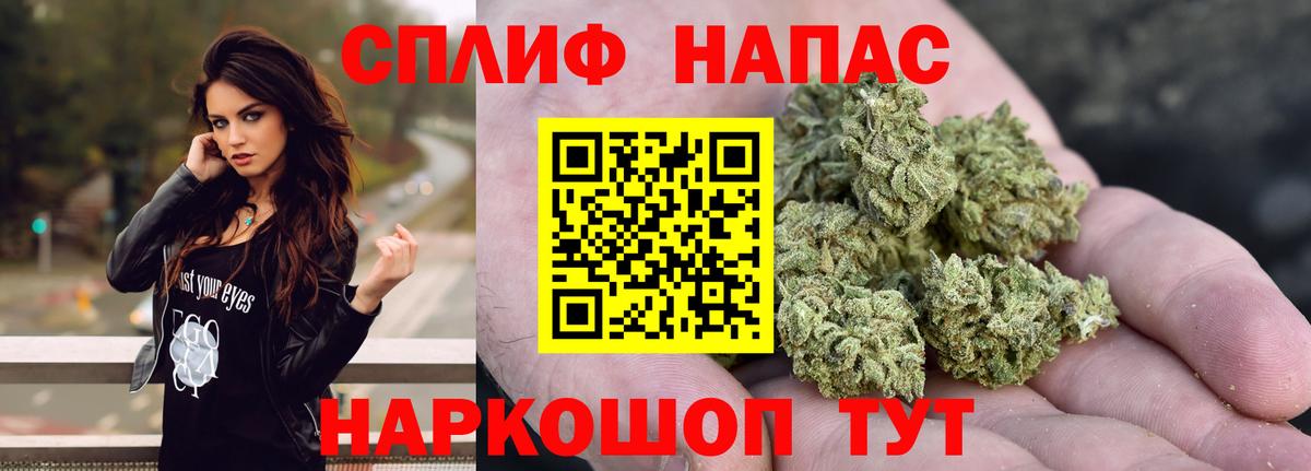 Марихуана семена  МАРИХУАНА MAZAR  Марихуана планчик  Петровск  Марихуана White Widow 